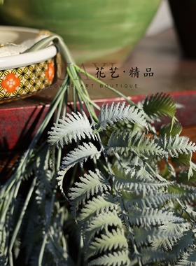 带白霜悬挂植物蕨草仿真蕨类植物屋顶墙面装饰壁挂造景波士顿草