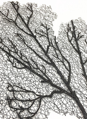 diy树叶手工装饰画拍照道具插花