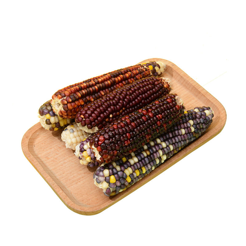 仓鼠磨牙迷你小玉米金丝熊零食龙猫豚鼠兔子营养粮食互动玉米棒,淘宝优惠券,粉丝福利购,淘宝优惠卷