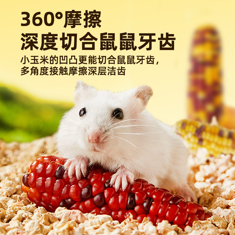 仓鼠磨牙迷你小玉米金丝熊零食龙猫豚鼠兔子营养粮食互动玉米棒,淘宝优惠券,粉丝福利购,淘宝优惠卷