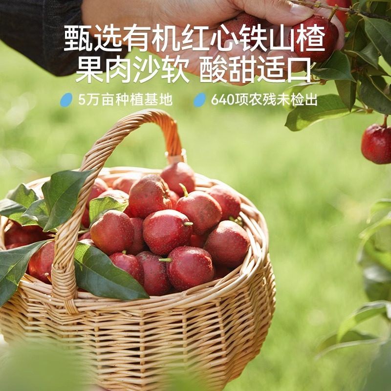 秋田满满山楂棒添加益生元无食盐山楂果脯条棒棒糖儿童宝贝零食