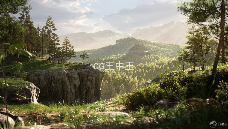 UE4虚幻 AAA级 苏格兰松树森林生物群落 Scots Pine Forest Biome - 图2