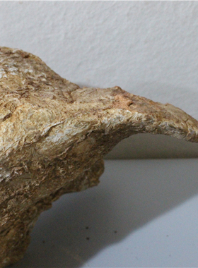 灵璧石象形石造型石毛石未刷天然石头生肖石牛头观赏石招牌