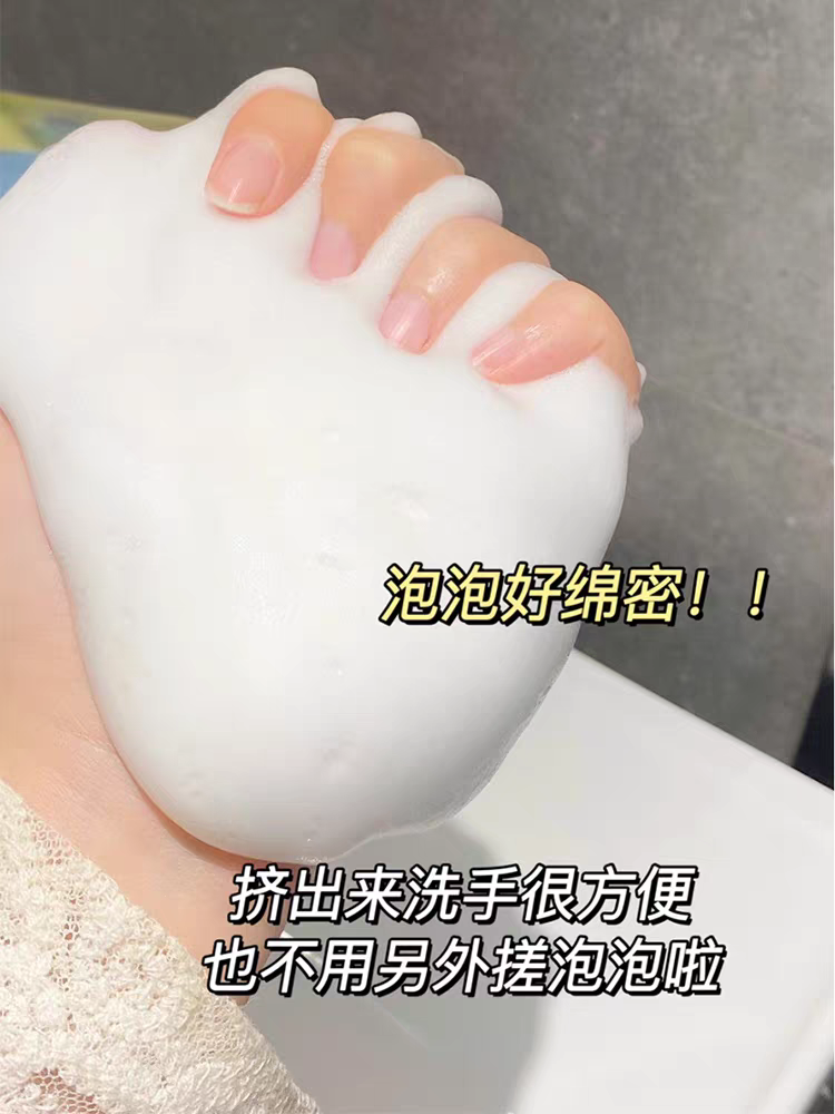 舒肤佳红石榴柠檬清新净润水润呵护泡泡沫型抑菌洗手液 - 图0