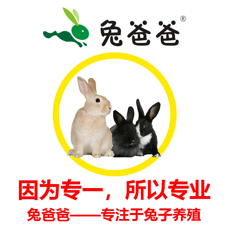 兔爸爸一次性注射注器兽用宠物喂食器针管筒注射药器兔用1ml2.5ml,淘宝优惠券,粉丝福利购,淘宝优惠卷