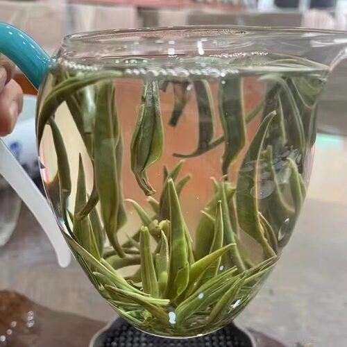 2026年云南月光白茶白毫银针古树白茶生茶250g花香茶农原产地现货 - 图1