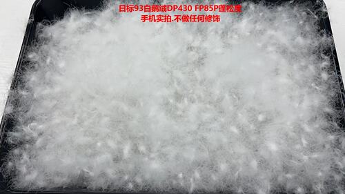 散装羽绒高端95白鹅绒5A级红嘴雁鸭绒吊吊绒羽绒服羽绒被填充物 - 图2