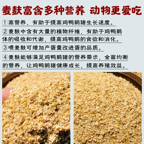 Пшеничная пшеничная пшеница куриная утка насекомые едят грубые пшеничные отруби отруби кормление рыбацкой пшеницы пшеницы пшеницы пшеницы корм