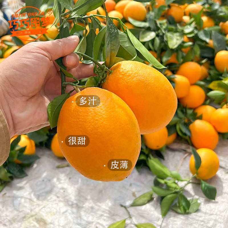 原生态自然甜黄金手剥橙信丰赣南脐橙子桔子新鲜水果补充维C送礼,淘宝优惠券,粉丝福利购,淘宝优惠卷