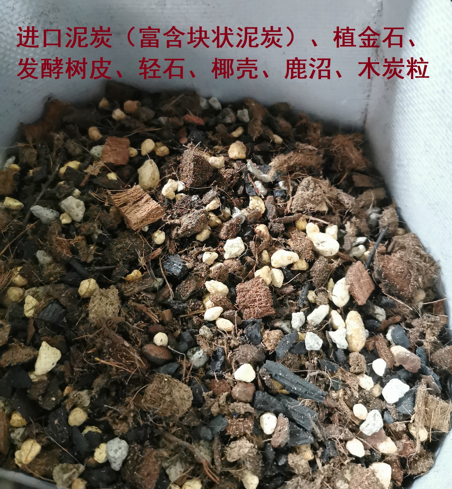 天南星科营养土室内植物竹芋海芋龟背竹秋海棠万年青白掌热植土 - 图0