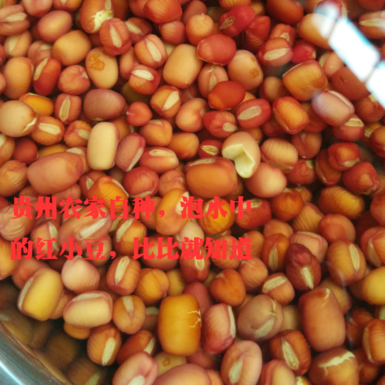 新豆贵州农家红小豆生态五谷杂粗粮米薏米好搭档红豆沙1000g - 图0