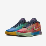 Обувь Nike Lebron XXI PRM Джеймс 21 Мужская баскетбольная обувь FV7276-401