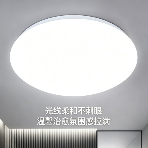 全白LED家用吸顶灯圆形卧室灯现代简约客厅灯阳台厨卫灯饰灯具 - 图3