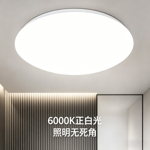 全白LED家用吸顶灯圆形卧室灯现代简约客厅灯阳台厨卫灯饰灯具 - 图2