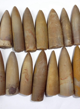 天然玉化箭石观赏收藏佳品