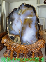 Natural chicite ornamental stone foliage Chrysanthemum Stone Swallow Tree Fossil Wood Fossilized Jade Rare Violet Beautiful Pendulum 1131