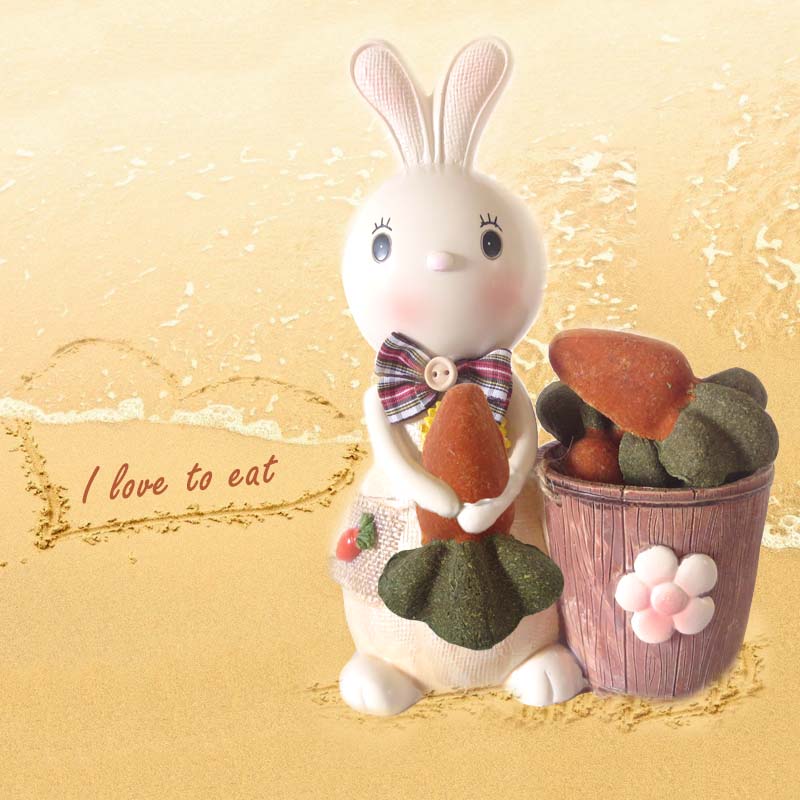 龙猫兔子天竺鼠豚鼠专用草饼草砖胡萝卜版1个装兔子小零食磨牙棒 - 图2