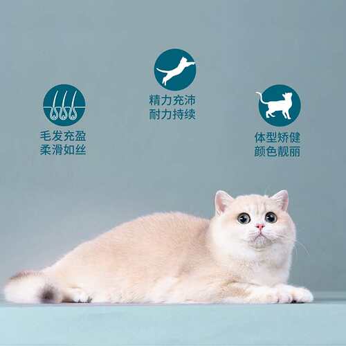 畅舒优品畅舒雨林探秘系列大颗粒成猫猫粮2kg美毛发腮增肥 - 图1