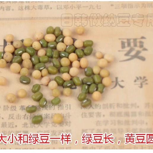 珍珠粒极小粒豆子发豆芽做纳豆专用小粒黄豆子 - 图1