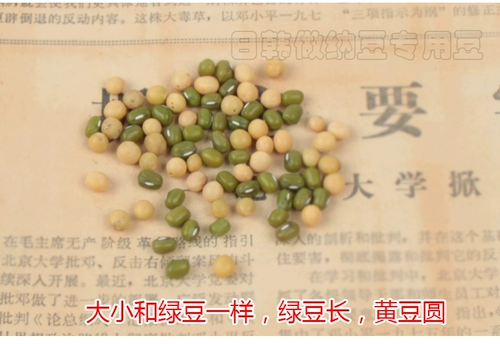 Жемчужные гранулы Dama Beans Send Bean Crlouts сделает Natto Special небольшие зерна соевых бобов 500G