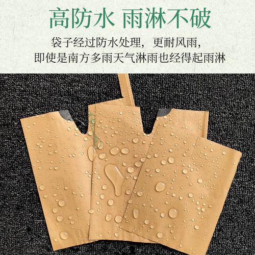 李子套袋专用袋黄金奈李三华李蜂糖李水果果树纸袋包果袋防虫防鸟 - 图1