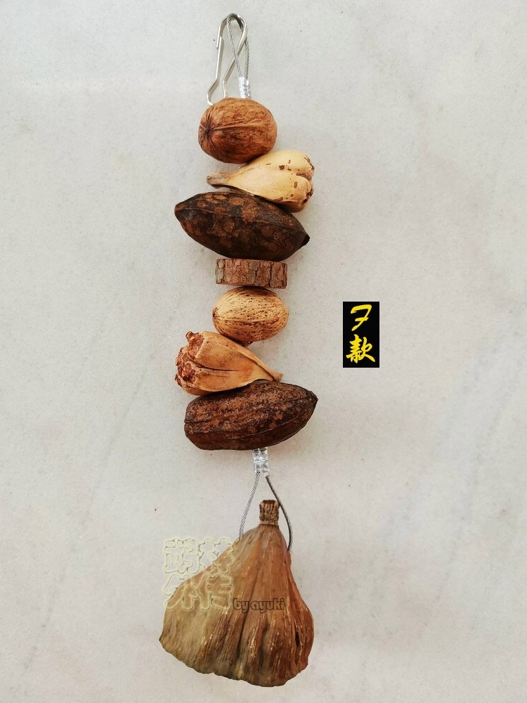 店主推荐鹦鹉啃咬玩具精选带籽莲蓬缤纷果串玄凤牡丹鹦鹉虎皮咬串,淘宝优惠券,粉丝福利购,淘宝优惠卷