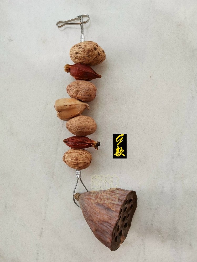 店主推荐鹦鹉啃咬玩具精选带籽莲蓬缤纷果串玄凤牡丹鹦鹉虎皮咬串,淘宝优惠券,粉丝福利购,淘宝优惠卷