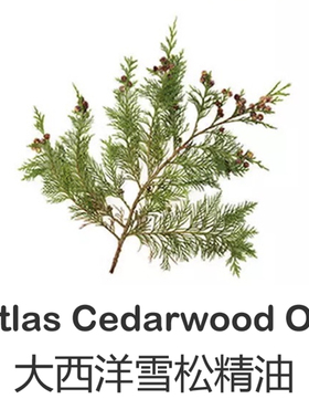 正品芳大西雪松单方洋精油10ml香层深清洁收缩毛孔脸部控油面部按
