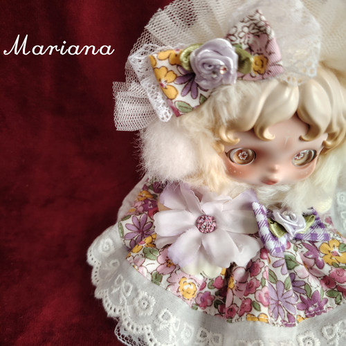 原创手工SP光织园冬日乐章盲盒搪胶公仔着替朝晖幻掣沐木花园娃衣 - 图3