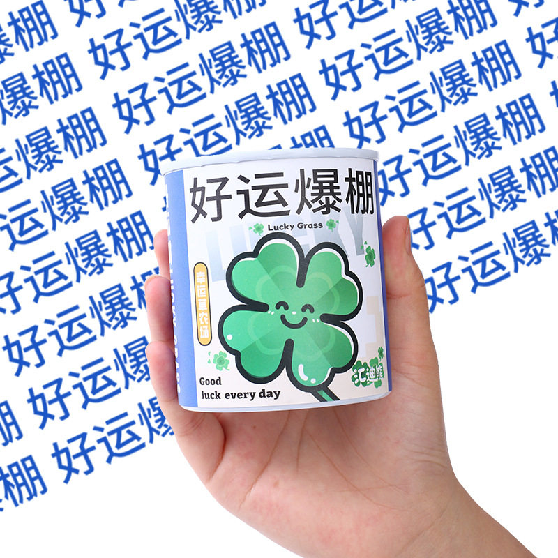 创意新年春节礼物幼儿园儿童节奖品小礼品全班学生日伴手礼小盆栽