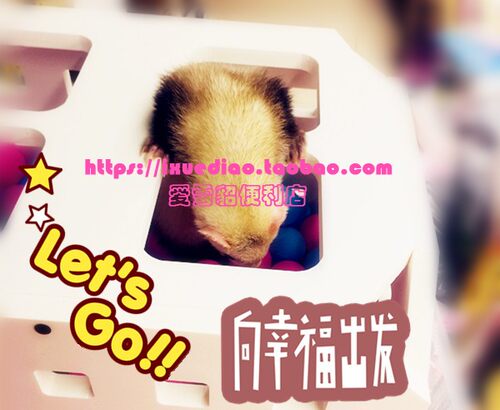 满68包邮 宠物雪貂海洋球池欢乐箱玩具箱多孔可钻多功能户外吊床 - 图2