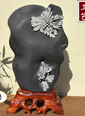 盛世菊花石特色工艺品奇石原生态自然全新客厅书房办公室居家摆件