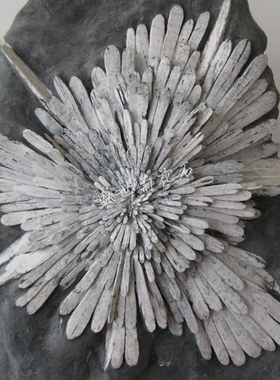 独特礼品居家菊花石