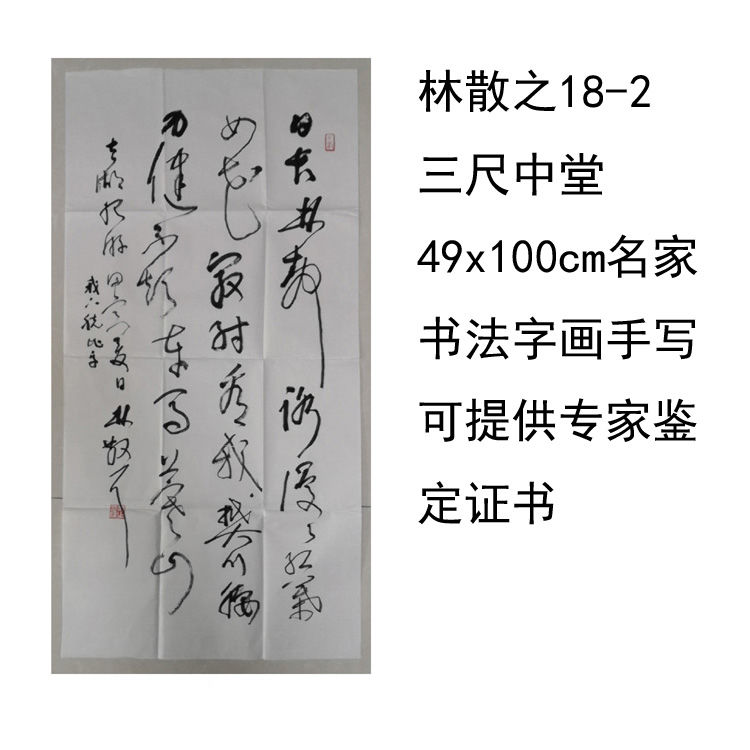 临摹手写林散之书法三尺中堂49x100cm名家题字字画收藏可提供鉴定 - 图1