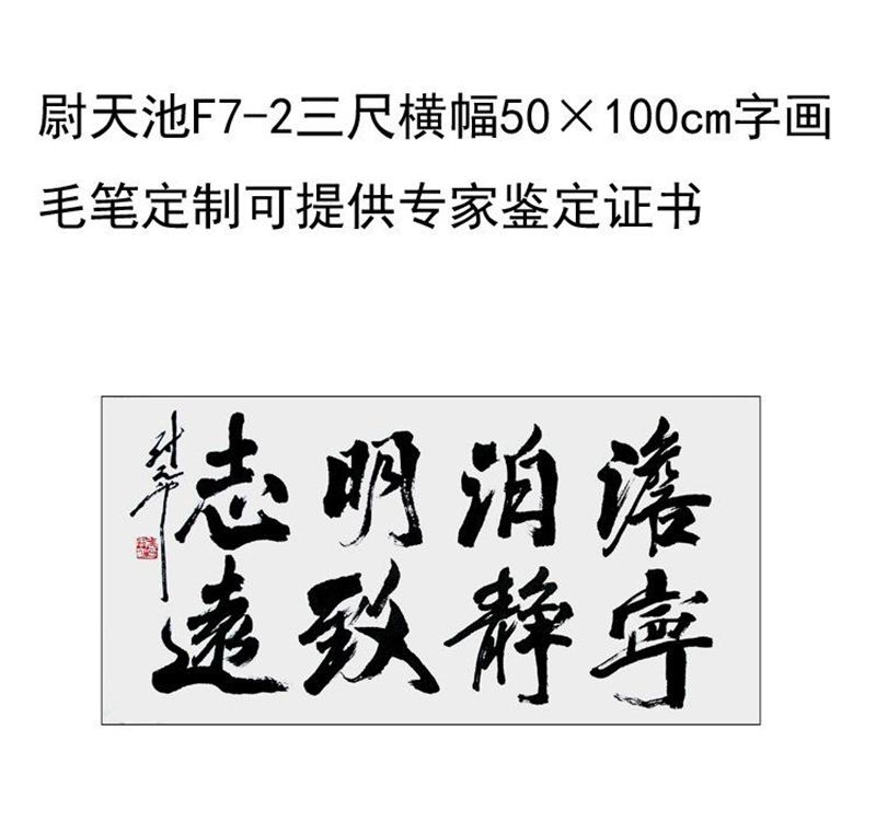 临摹手写尉天池书法题字50×100cm名人字画毛笔临摹定制收藏可选 - 图3