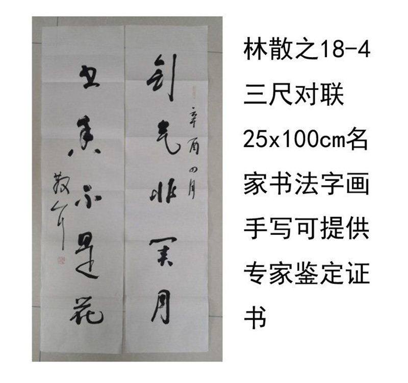 临摹手写林散之书法三尺对联25x100cm名家题字名人字画收藏可提供