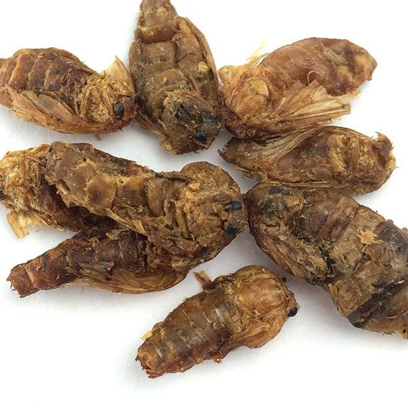 雄蚕蛾 500g克85元包邮 原蚕蛾 晚蚕蛾 天蛾 正品 中药材