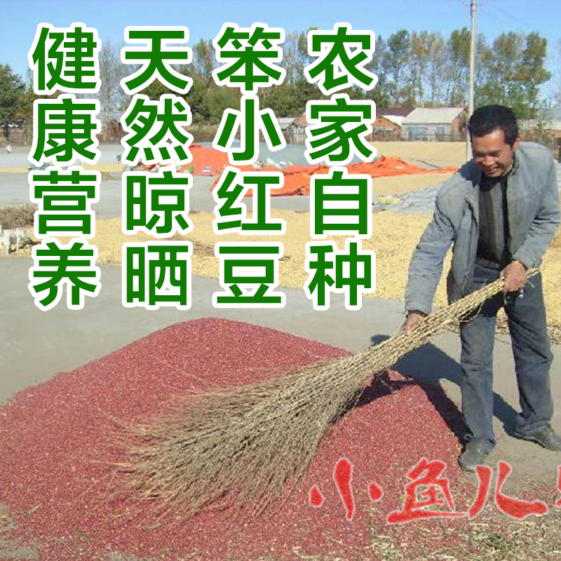 农家自产级红小豆 红芸豆 红豆粥红新货小豆自产500g红小豆 - 图3