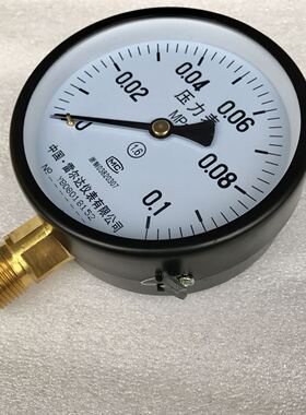 雷尔达仪表 Y-100 0-0.1mpa 直径100mm 螺纹m20x1.5 径向 1.6级