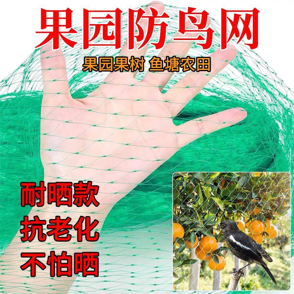 新款无结果园防鸟网罩家用防护网葡萄苹果桃树专用防鸟网农用网,淘宝优惠券,粉丝福利购,淘宝优惠卷