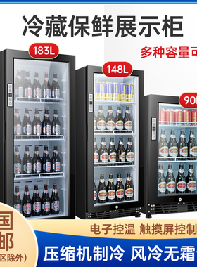 立式迷你KTV小型展示柜啤酒柜