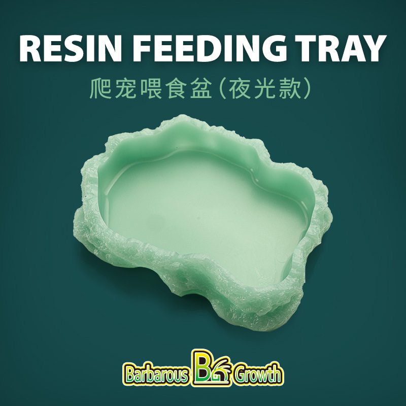 爬宠陆龟守宫蜥蜴蛇水盆食盆角蛙树蛙石阶梯泡澡盆饮水寄居蟹食碗,淘宝优惠券,粉丝福利购,淘宝优惠卷