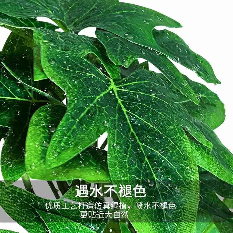 爬虫箱造景仿真植物水陆生态雨林缸陆龟蜥蜴守宫植物摆件盆景装饰,淘宝优惠券,粉丝福利购,淘宝优惠卷