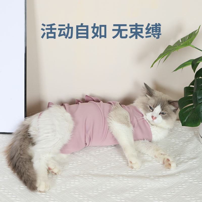 可调节式猫咪手术后防舔服宠物母猫绝育服透气小猫断奶服公猫衣服 - 图0