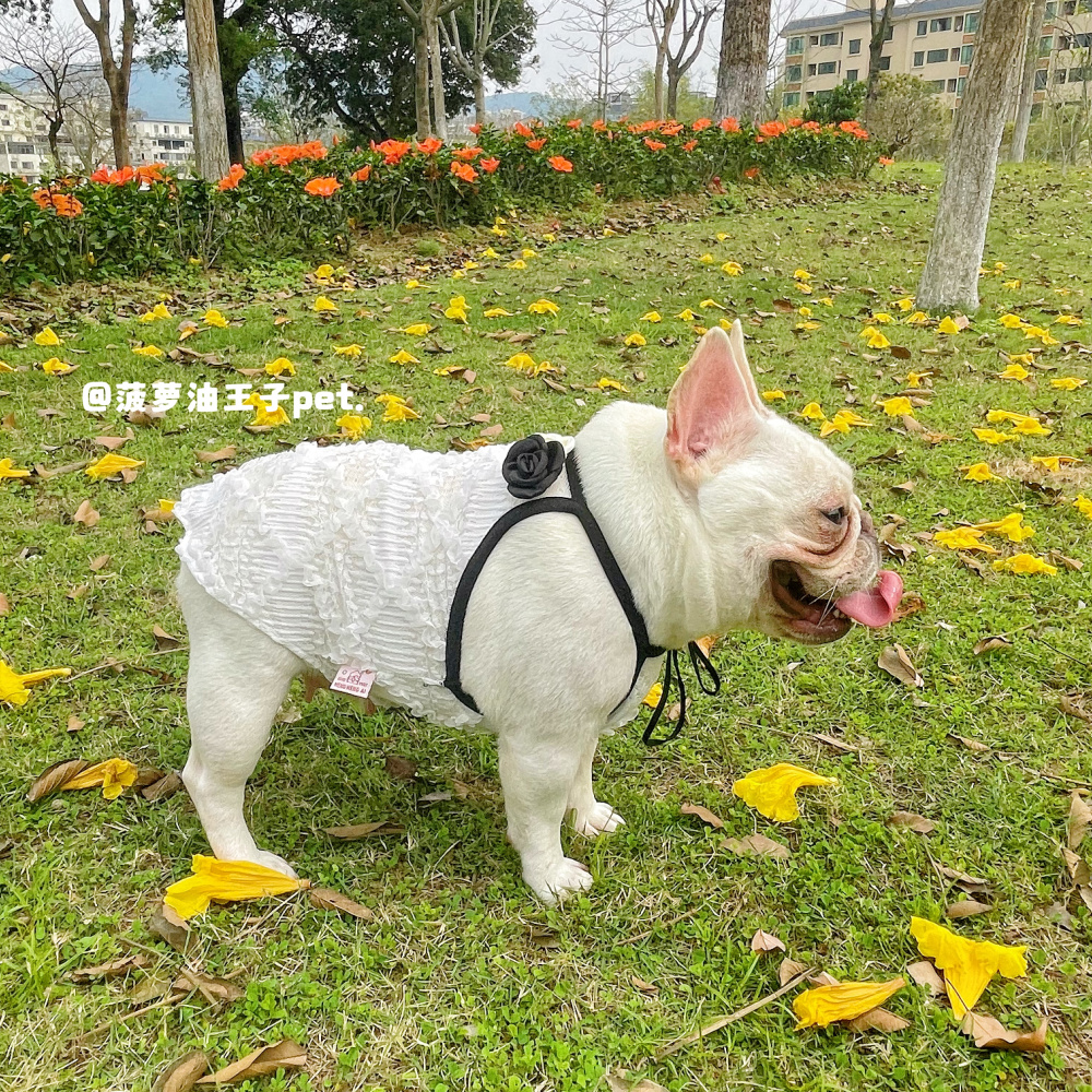 新款宠物春夏蕾丝镂空小香风网眼吊带背心法斗雪纳瑞胖狗狗衣服-图0