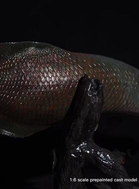 巨骨舌鱼模型雕塑模型手办送礼钓鱼礼物礼盒包装