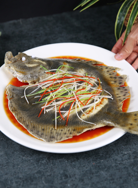 美之灵仿真多宝鱼模型饭店假食物