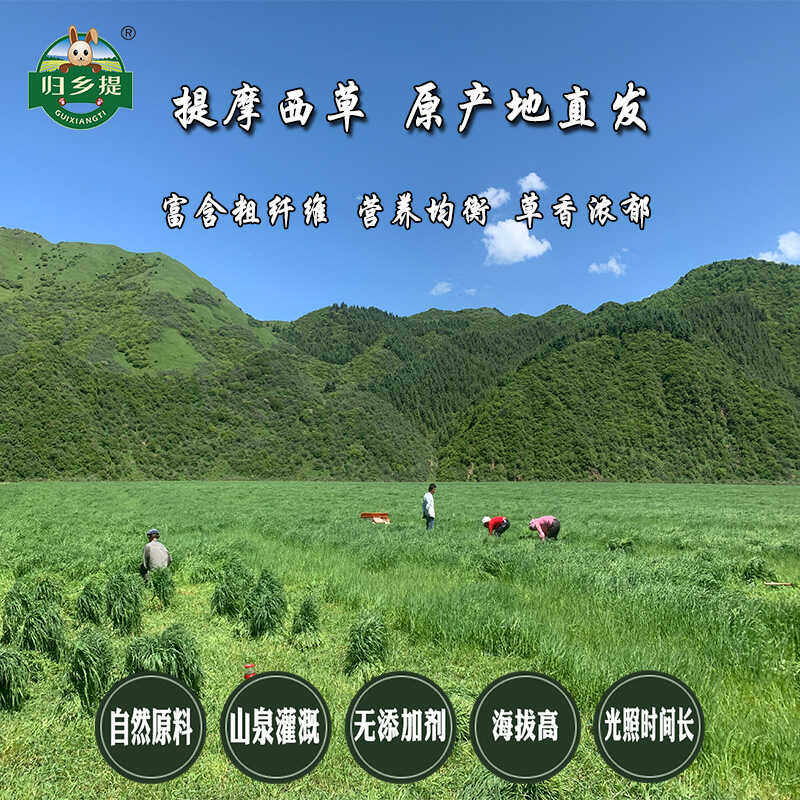 25年新提摩西草兔草半烘干特优提草归乡提龙猫荷兰猪磨牙兔兔干草,淘宝优惠券,粉丝福利购,淘宝优惠卷