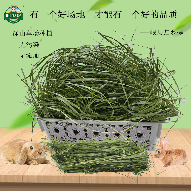 烘干提摩西头茬兔子草甘肃归乡提荷兰猪提木西龙猫干草兔饲料兔粮-图0