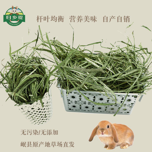 26年晒干提摩西草兔子专用归乡提荷兰猪干草豚鼠草料宠物兔草提草 - 图0